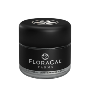 Purple Plague Flower